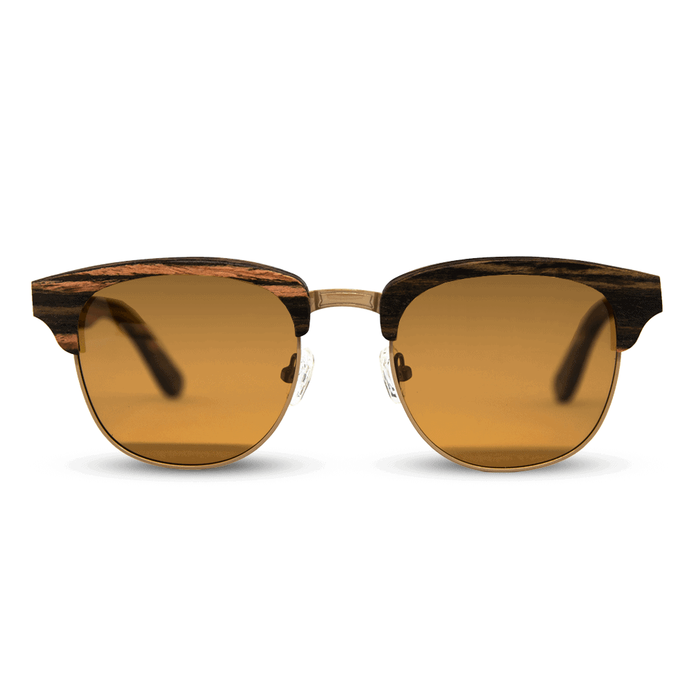 timber sunglasses