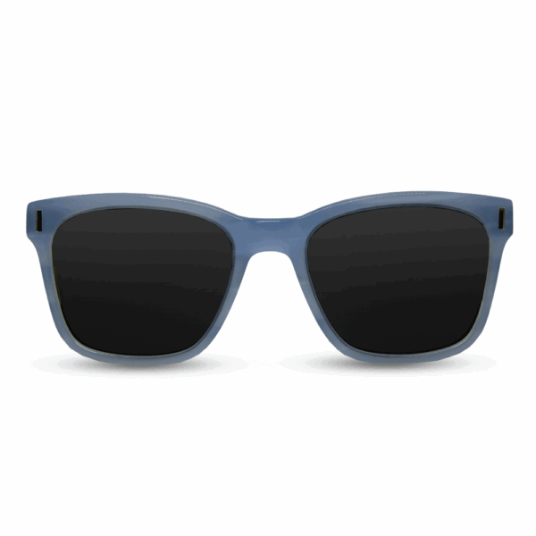 Frozen - Wood & Acetate Sunglasses - Mr. Woodini Eyewear