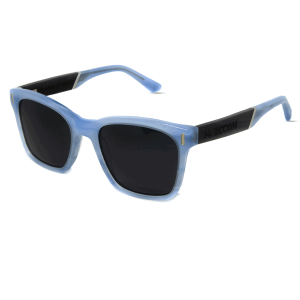 Frozen - Wood & Acetate Sunglasses - Mr. Woodini Eyewear