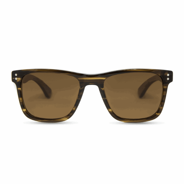 Galerina - Sunglasses Acetate Amber and Walnut & Rosewood Temples