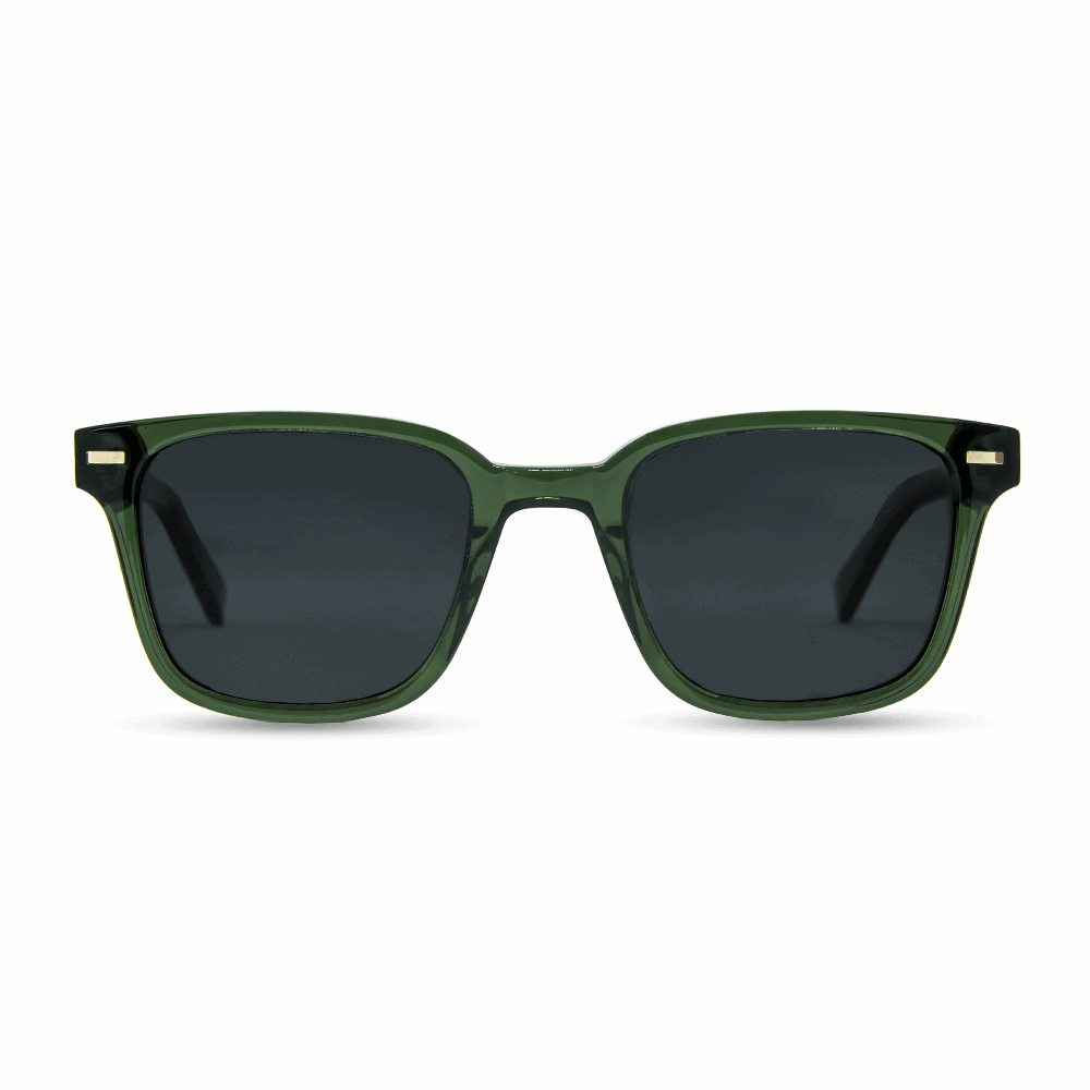 Toxic sunglasses 2025