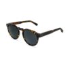 Sumatra - Tortoise Acetate Sunglasses with ebony and maple wood - Mr. Woodini