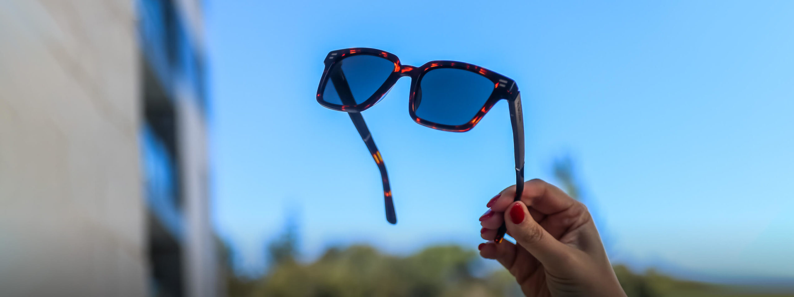 Mr. Woodini - Sustainable sunglasses