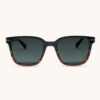 Black Tortoise