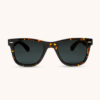 Black Tortoise