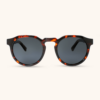 Sumatra - Black Tortoise and wood sunglasses