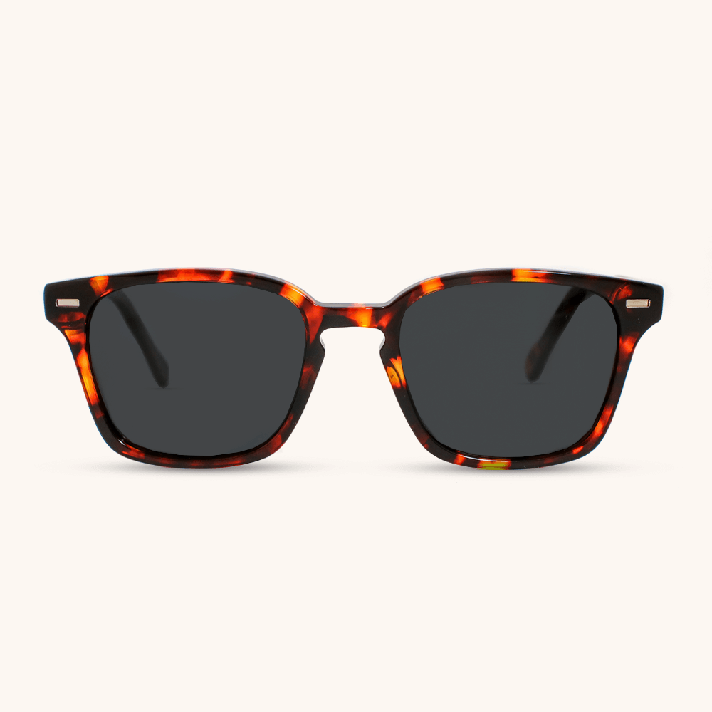 Denver Black Tortoise and Wood Sunglasses