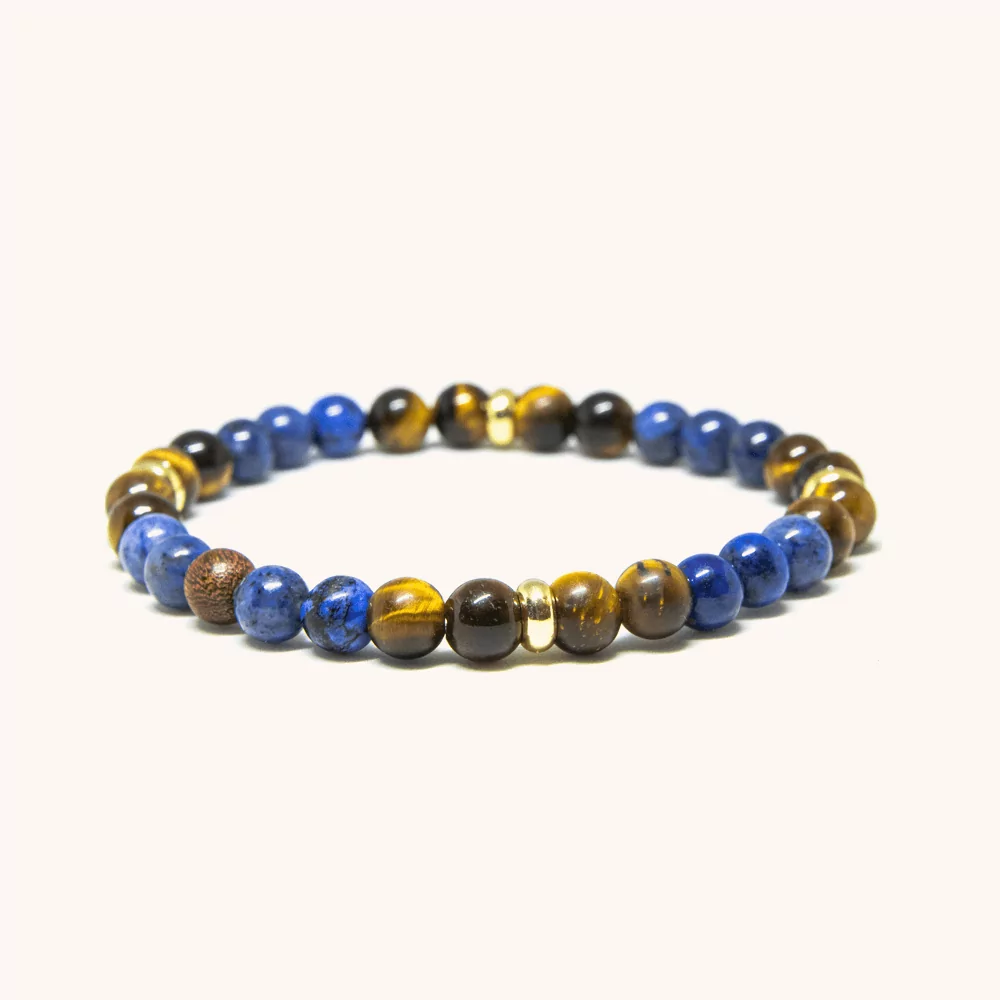 Dumortierite and Brown Tiger Eye Beaded Bracelet (6mm)