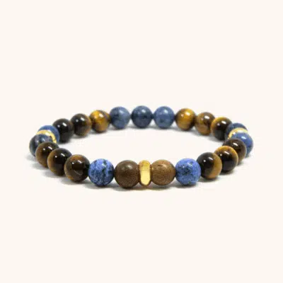 Dumortierite and Brown Tiger Eye Beaded Bracelet (8mm)