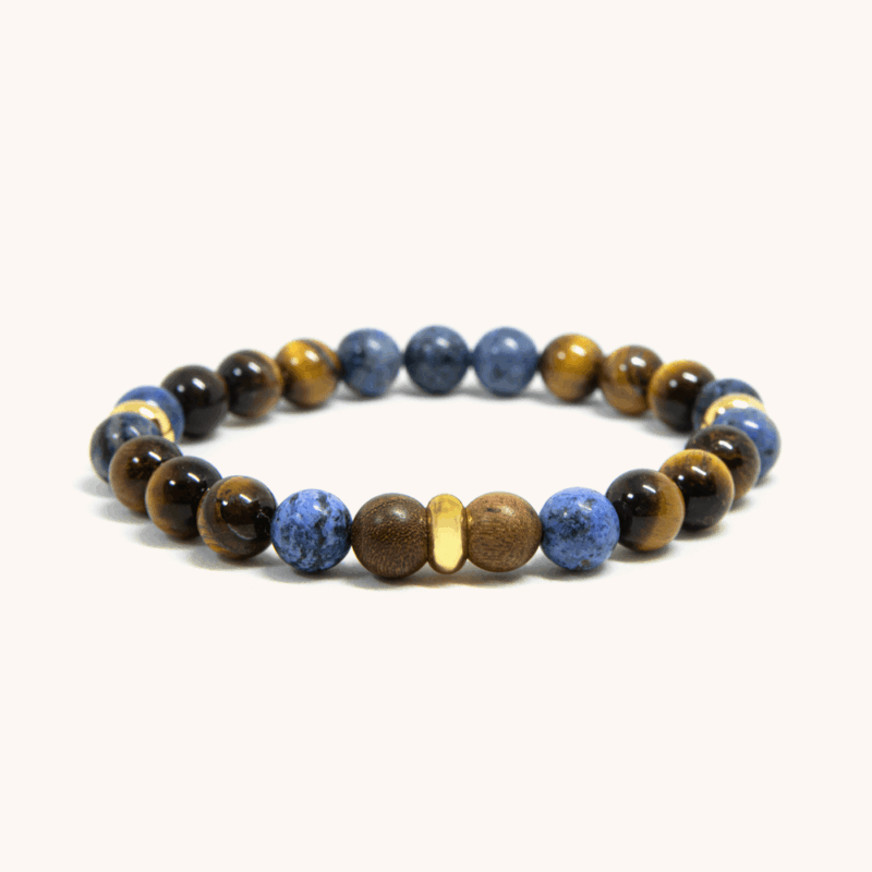 natural stone bracelet for men - dumortierite and tiger eye beaded bracelet 8mm