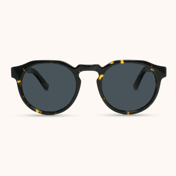 Sumatra - Black Tortoise