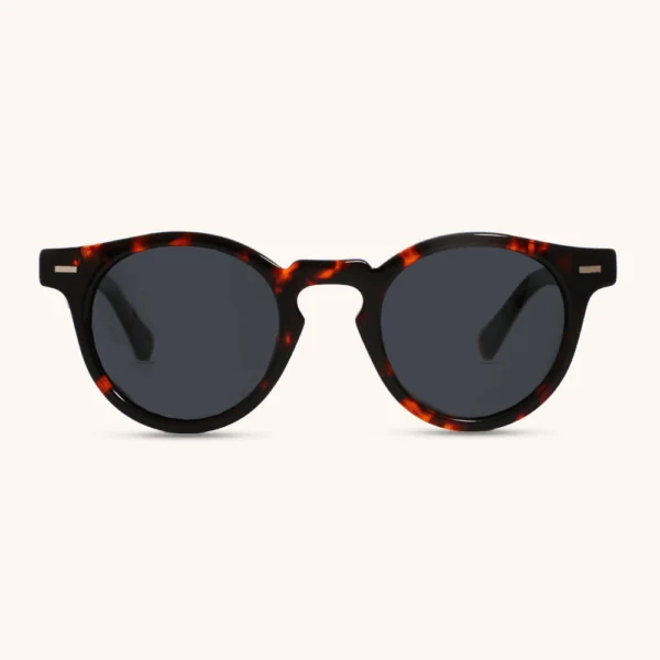 Void Sunglasses Black Acetate & Walnut Wood