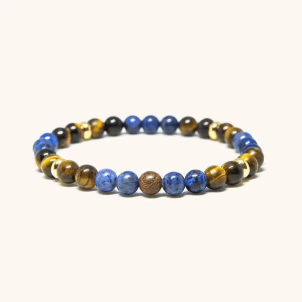 Dumortierite and Brown Tiger Eye Beaded Bracelet (6mm)